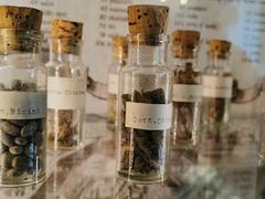 -维乐口腔医院(星海湾分院)