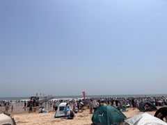-日照海滨国家森林公园