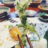 蓝鳍金枪鱼大腩一口封神！🍣别墅级日料体验✨