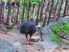 -昆明动物园