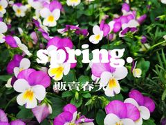 -深圳湾公园(南山区)