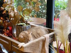 肉松芝士牛角包-咖法森林·咖啡  酒吧(天河店)