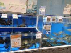 -紫荆广场·花漫里