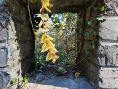 -梦姑塘文化公园