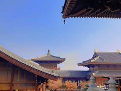 -牛首山文化旅游区