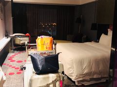 -南京禄口机场雅高铂尔曼大酒店