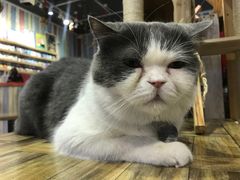 -小时光咖啡馆(开森度假森林店)