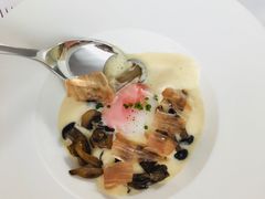 -蝶舍·MAISON PAPILLON