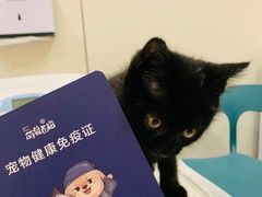 -萌兽医馆·犬猫专科·眼科中心·宠物医院(朝阳门分院)