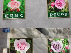 -南阳府衙