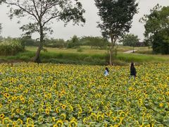 -良渚古城遗址公园