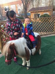 -萌宠亲子动物乐园(槐房万达店)