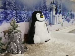 -赤马湖体育滑雪