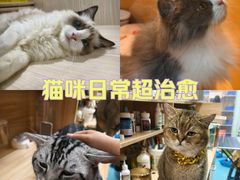 -光明广场