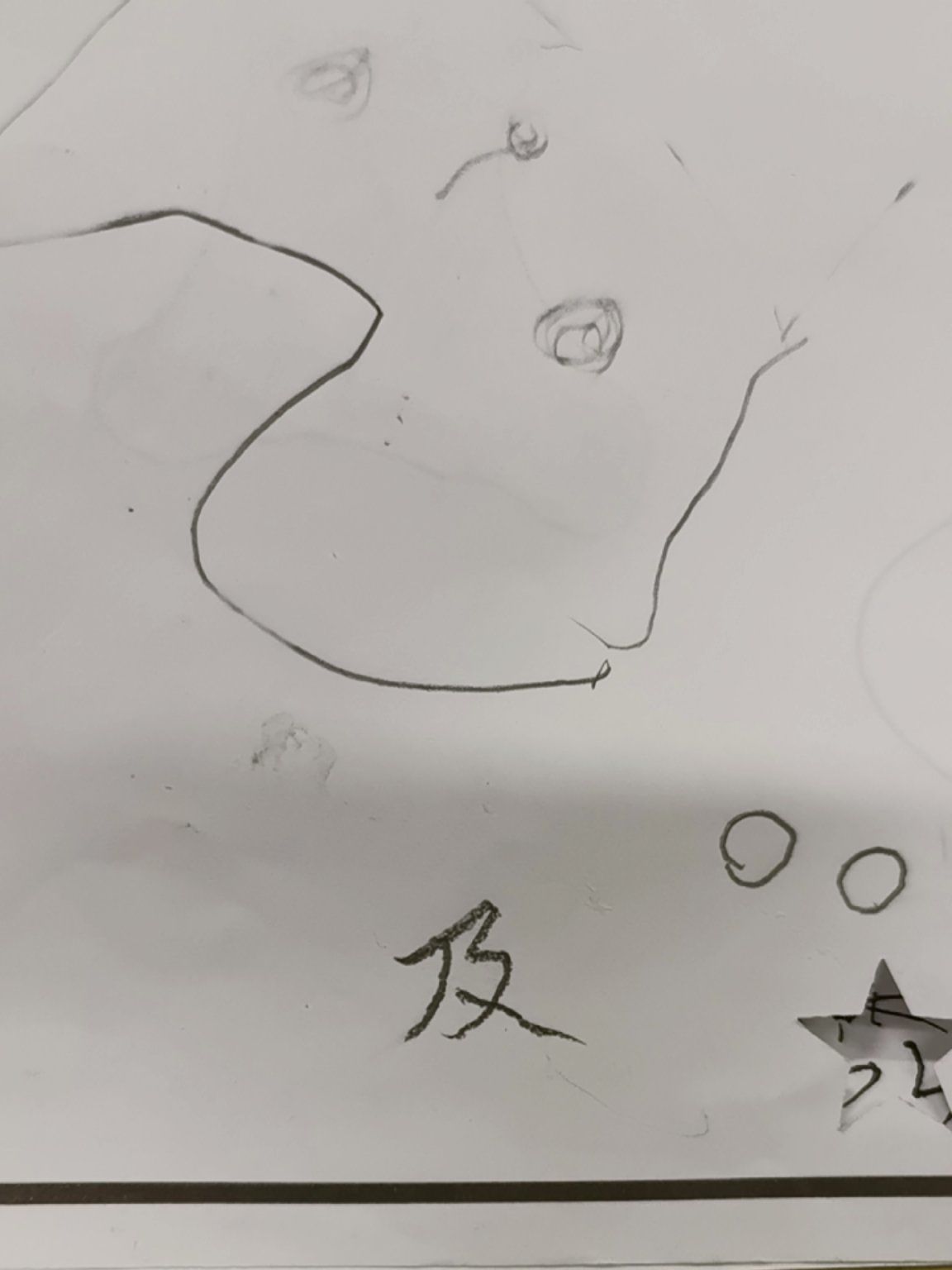 」\\n娃大班平时自己在家写字就像画画没有笔顺