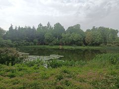 -白鹭湾湿地公园