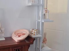 -麻麻手推拿