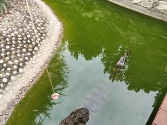 -石家庄市动物园