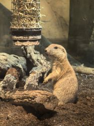 -Zoolung Zoolung动物主题公园(海信广场店)