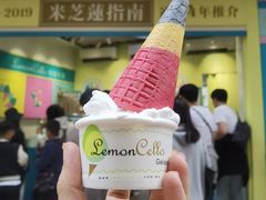 -柠檬车露(卖草地店)