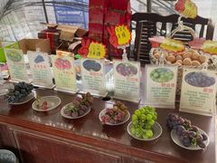 -马陆小张葡萄园农家乐