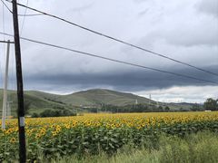 -坝上草原大汗行宫旅游景区