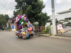 -三圣花乡旅游区