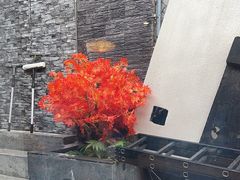 -庭院·冰煮羊·北京涮肉(西单店)