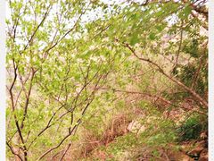 -北京密云天门山风景区