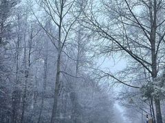 -长白山聚龙火山温泉