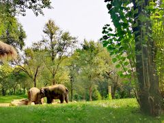 -北京野生动物园