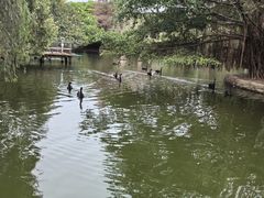 -深圳野生动物园