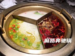 -麻路成都火锅(柏威年店)