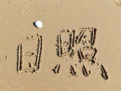 -日照灯塔风景区