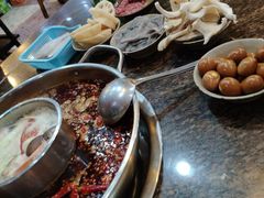鸿社鹌鹑蛋-星鸿社重庆老火锅(燃灯寺分店)