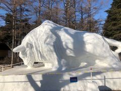 -长春市南湖公园