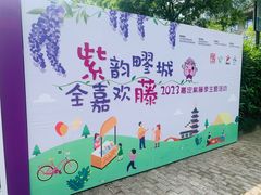 -嘉定紫藤园