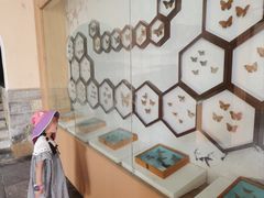 -屈原故里文化旅游区