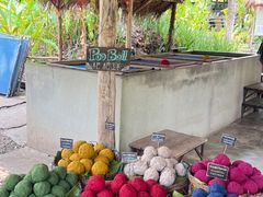 -大象粑粑造纸公园