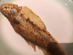 酥煎小黄鱼-金海湾自助餐厅(金陵饭店)