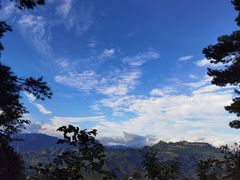 -重庆睡佛山森林公园