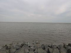 -南汇嘴观海公园