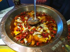 -雲蜀龙阁·金牌水煮鱼(方庄店)