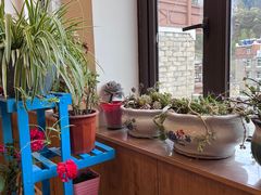 -四姑娘山阿巴郎·藏式花园餐厅