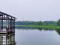 -溱湖国家湿地公园