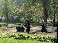 -北京野生动物园