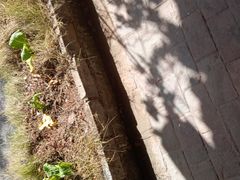 -民俗村柴火灶·景德江西菜(中国陶瓷博物馆店)