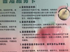 -老袁家蜜桃农场·阳山水蜜桃