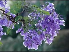 -北京市西城区德胜社区卫生服务中心