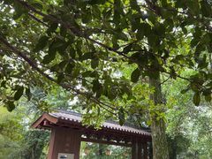 -西湖风景区十里琅珰-五云山